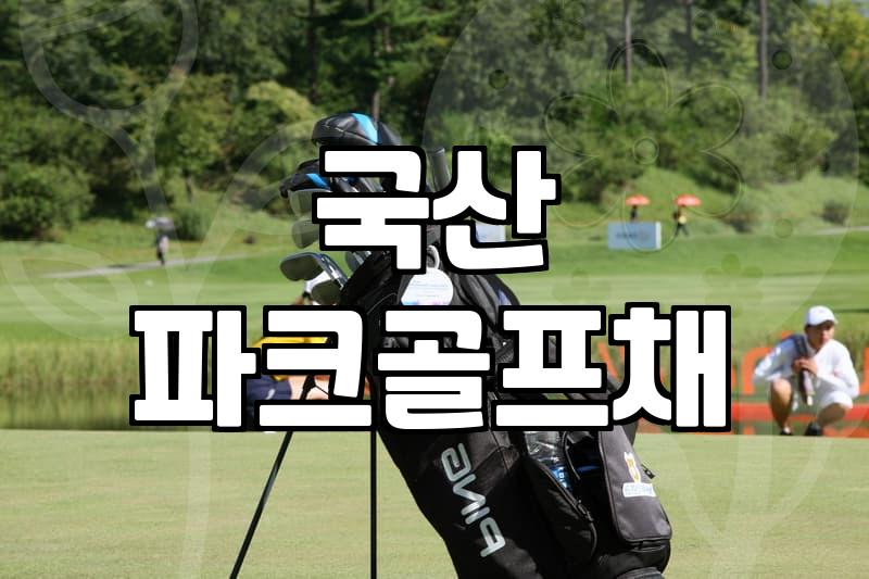 뉴월드파크골프 전국 대회 규모와 장비 선택의 기준