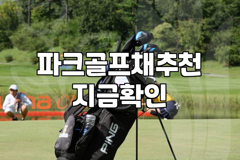 어느 날, 다사 파크골프장에서 파크골프채를 고르며 느낀 솔직한 이야기