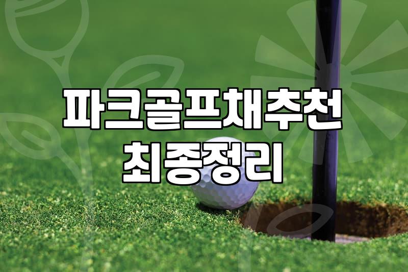 파크골프채, 비싼 게 과연 답일까? 30대가 본 현실적인 고민