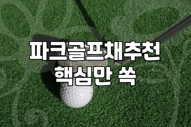 동네 어르신들 사이에서 시작한 파크골프가 생각보다 복잡해졌다