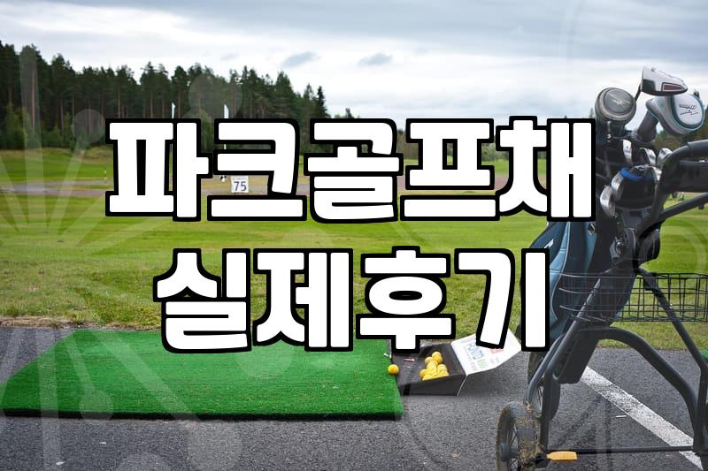 집에서 파크골프 퍼팅 연습하는 법과 용품 고르는 기준