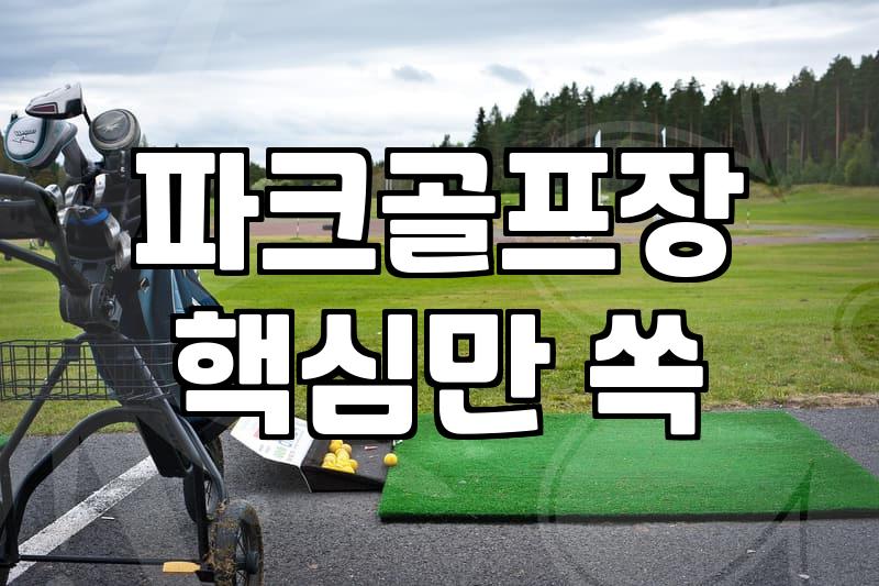 파크골프 가방을 고르다 보니 짐이 꽤 늘어났다