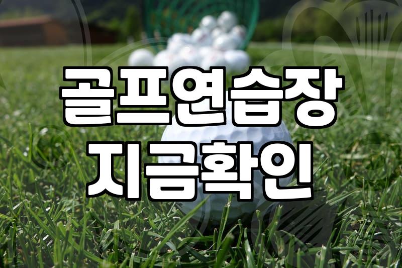 30대 직장인이 후회 없이 스크린골프레슨 선택하는 방법