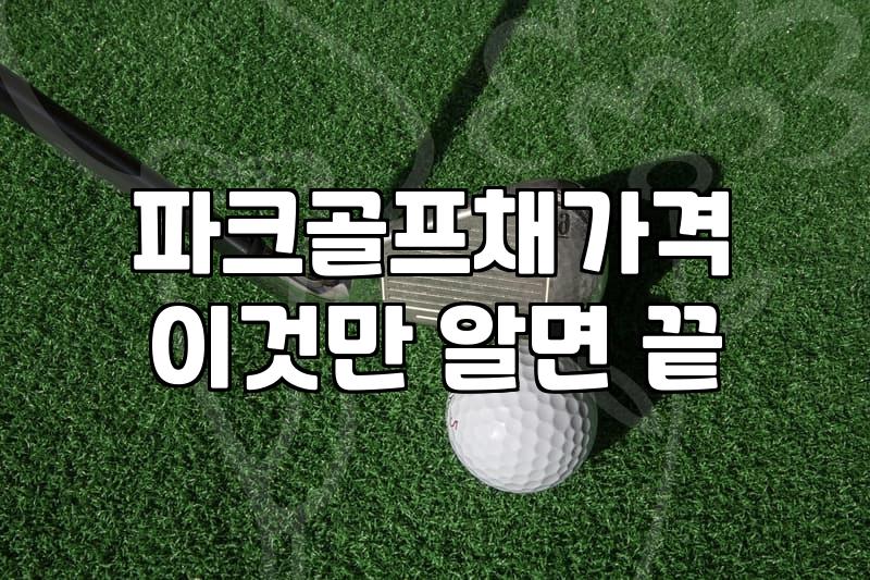 파크골프채여성용 선택 시 무게와 샤프트 강도가 결정하는 기준
