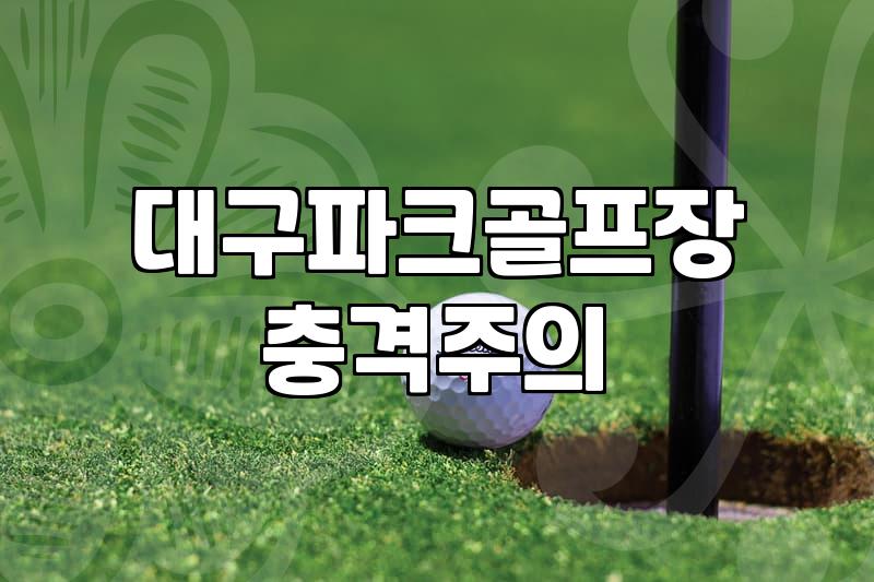 부모님 성화에 못 이겨 대구파크골프장에 따라갔다가 알게 된 것들