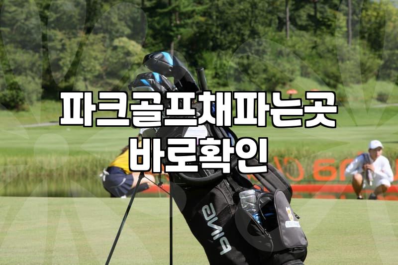 파크골프채매장 방문 시 확인해야 할 가격대와 중고 선택 기준