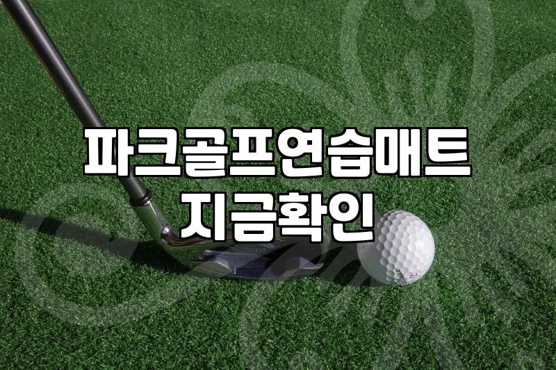 파크골프, 무작정 시작하기 전에 알아야 할 현실적인 고민들