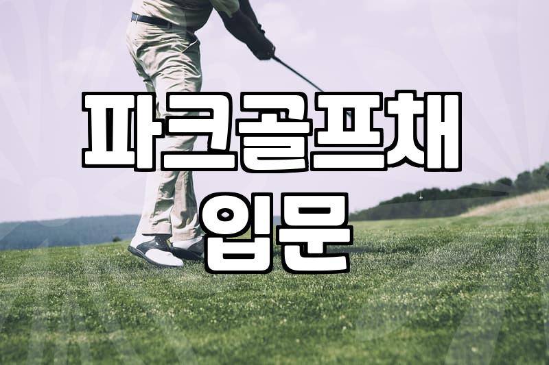 엄마의 갑작스러운 파크골프 입문기와 내 고민