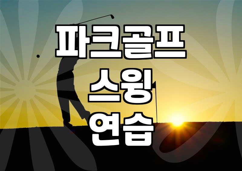 파크골프연습매트, 이것만은 알고 사자