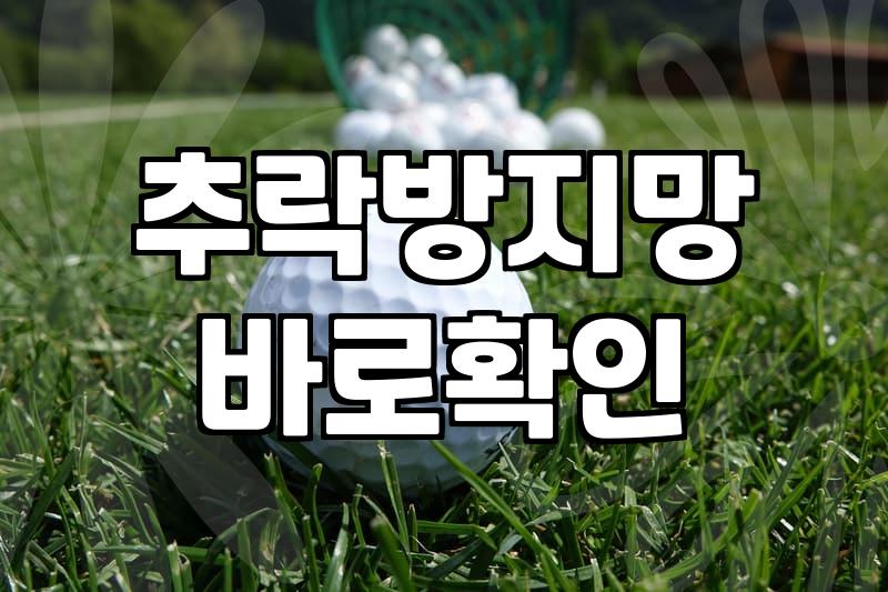 스포츠 시설 안전네트, 설치할까 말까? 현실적인 고민들