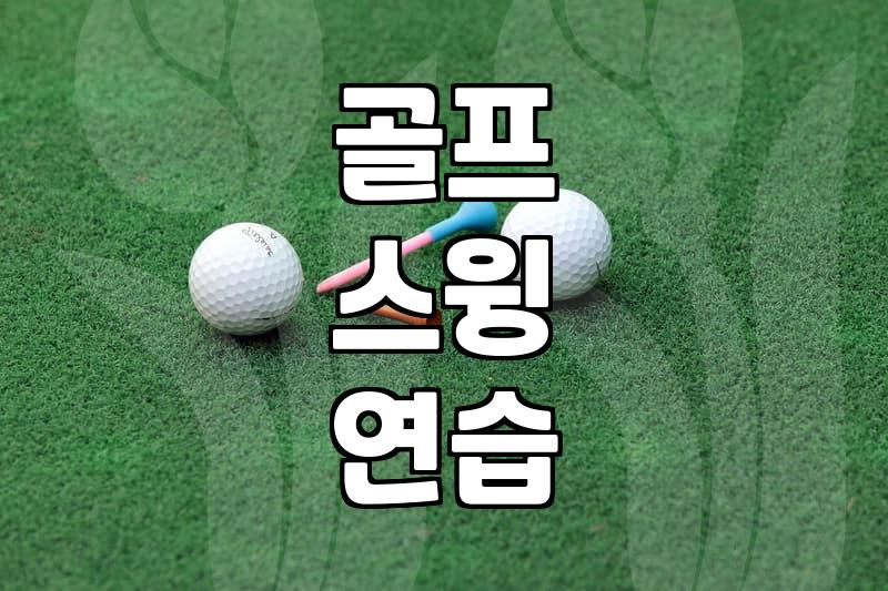 골프연습도구 선택 기준과 효율적인 스윙 개선 방법
