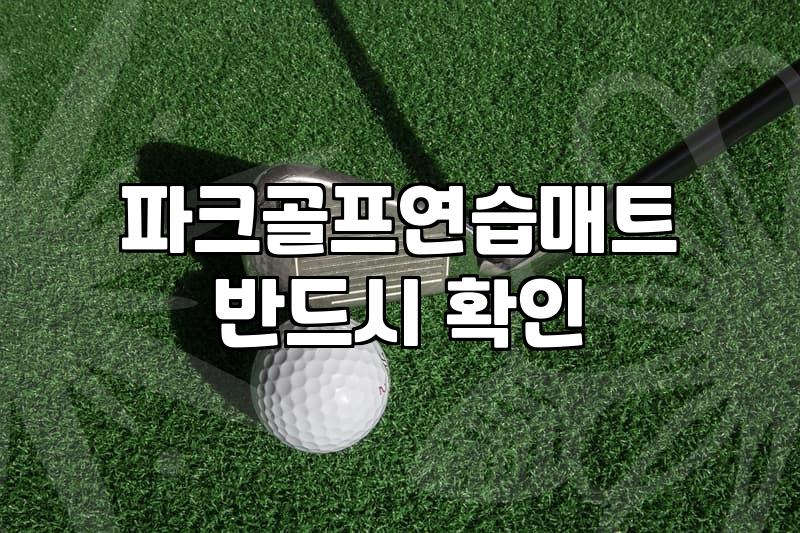 집에서 파크골프 감각 익히는 연습 매트 활용기