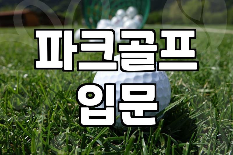 동탄 파크골프장에 갔다가 갑자기 채를 사야겠다고 마음먹었다