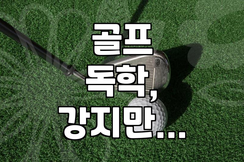 공이 안 맞을 때 펼쳐보는 골프 입문서와 기본기 점검