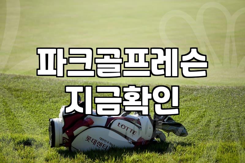 파크골프치는법 기초부터 실제 라운딩 규칙까지