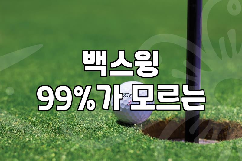 골프 입문, 이것만 알면 스윙 폼 걱정 끝