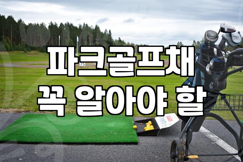 파크골프 채 선택 기준과 입문 비용