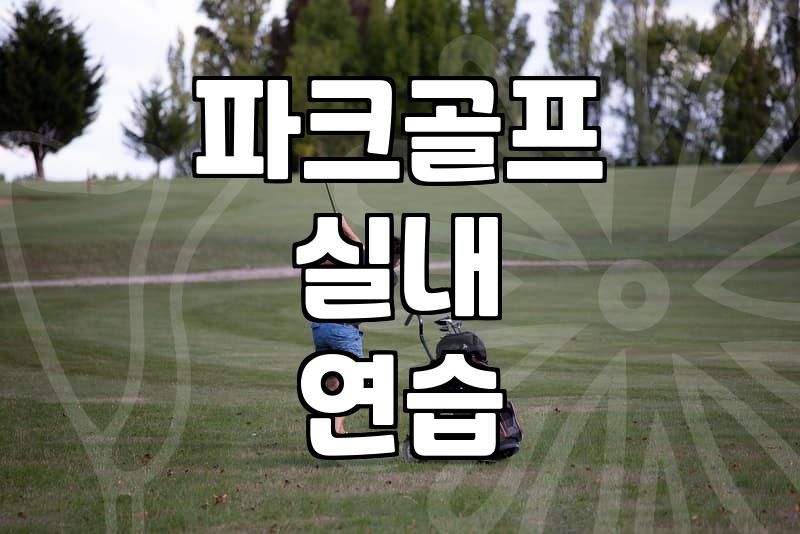 스크린 파크골프, 정말 괜찮을까? 직접 경험한 솔직 후기