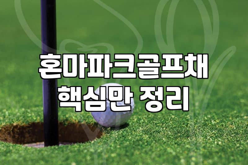 파크골프채혼마 선택 시 알아야 할 5가지 핵심 기준