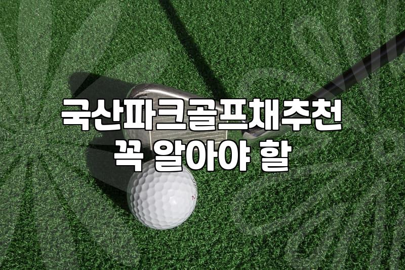 엄마의 성화에 파크골프 장비부터 질렀다가 애물단지가 되어가는 과정
