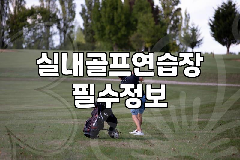 개인골프연습장 설치 비용과 공간별 타석 기준