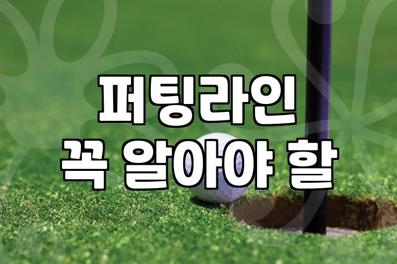파크골프 실력을 높이는 올바른 골프연습 루틴과 습관