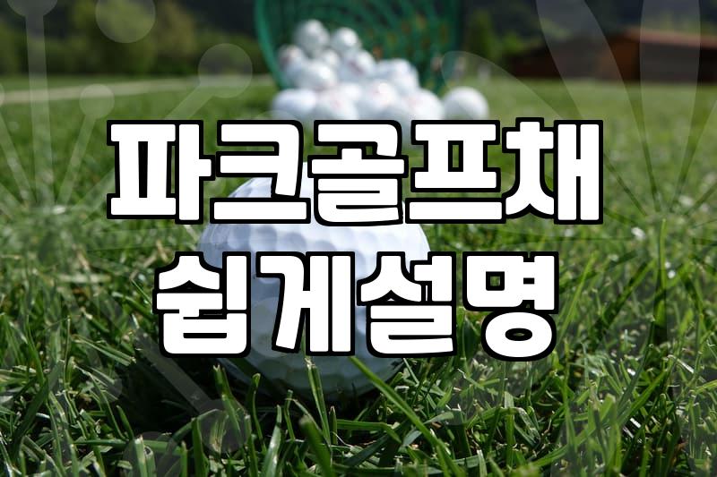아빠가 갑자기 파크골프채를 사달라고 했을 때