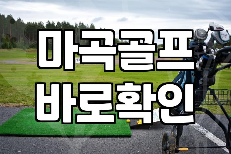 마곡골프레슨, 무작정 시작하기 전에 알아야 할 현실적인 고민들