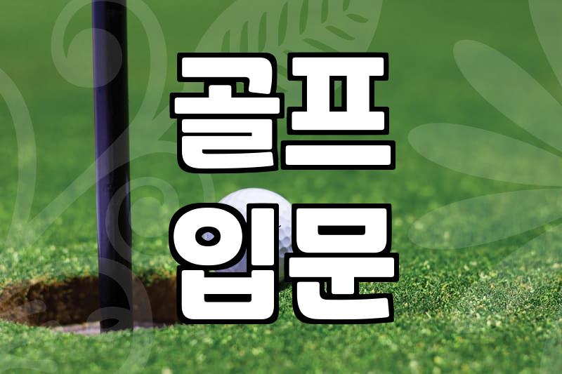 골프, 진짜 시작은 ‘이것’부터… 30대 직장인 3년차의 솔직 후기