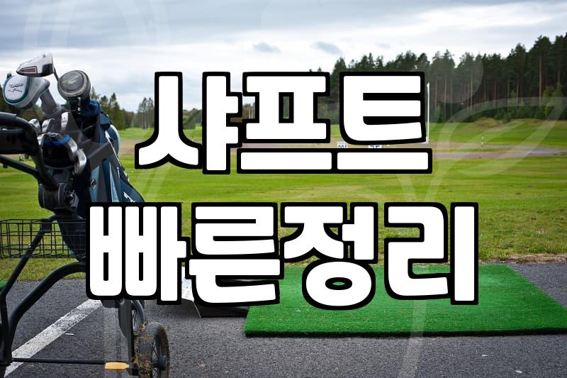 힘없는 여성도 멀리 친다, 여성 파크골프채 선택 비결