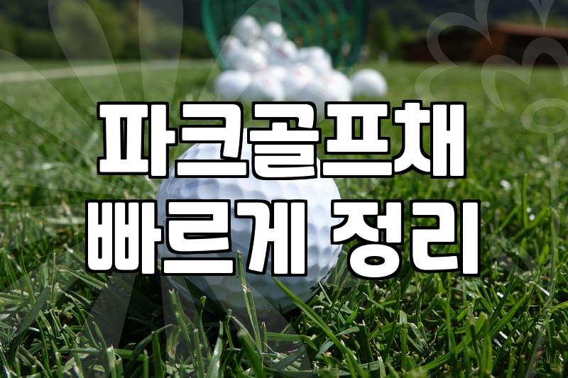 집 거실에 파크골프 타석 매트를 깔고 나서 든 생각