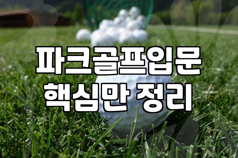 아버지가 파크골프채를 사달라고 하셨을 때 겪은 일