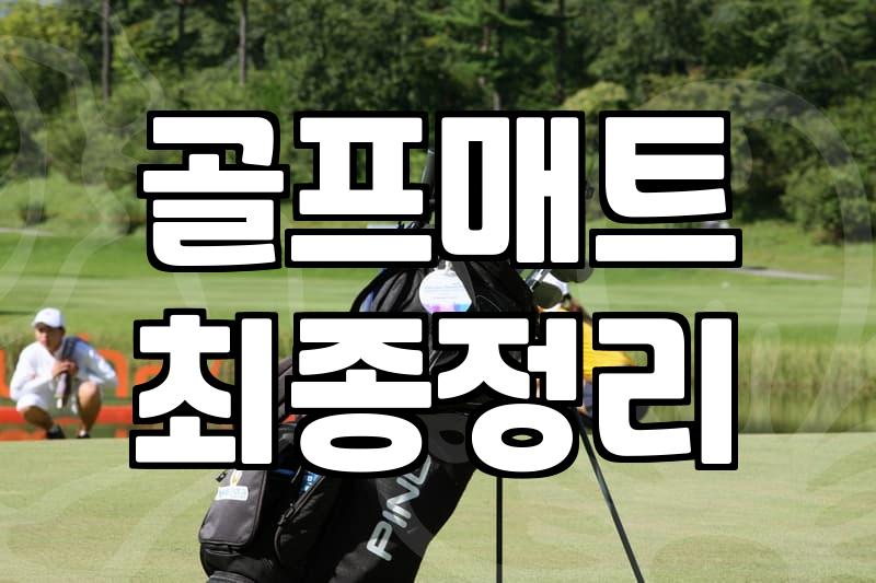 골프 연습 매트, 이거 하나로 집에서? 현실적인 고민과 선택 가이드