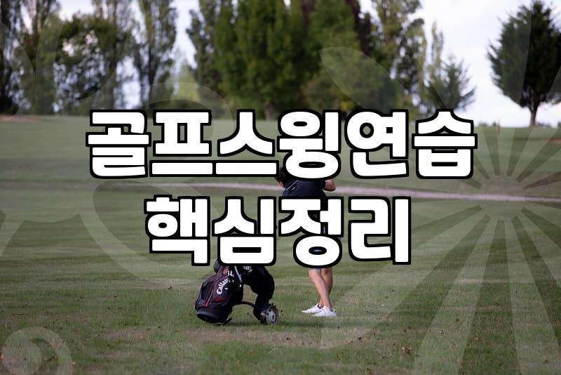 집에서 휘두르다 천장을 긁고 말았다