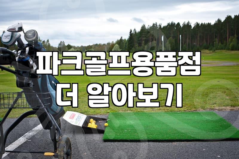 세븐스타파크골프채 특징과 가격대별 선택 기준