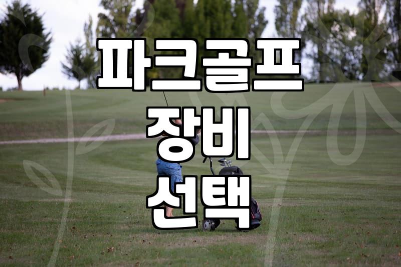 파크골프공 규격 확인하고 장비 선택할 때 알아야 할 기준