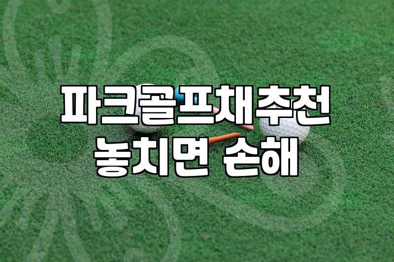 파크골프채, 비싼 게 정답일까? 30대 직장인이 본 현실적인 선택