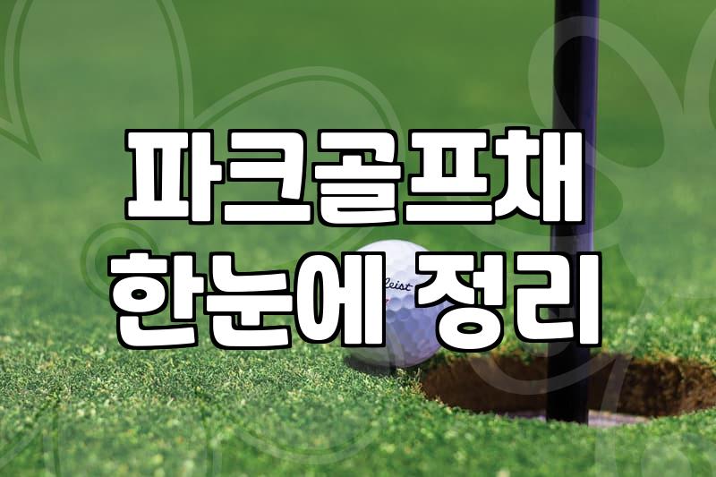 부산에서 파크골프채를 고르다 포기할 뻔한 날