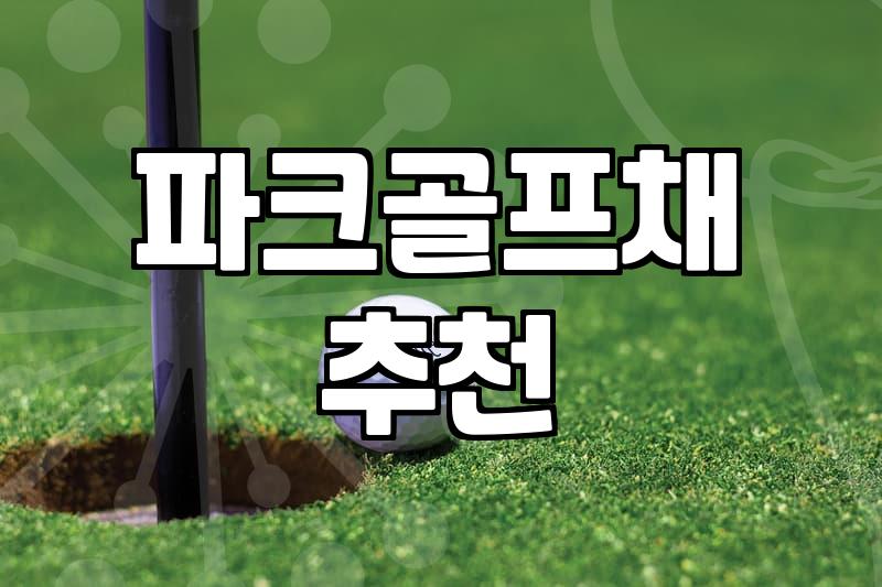 파크골프채 선택할 때 알아두면 좋은 실전 포인트