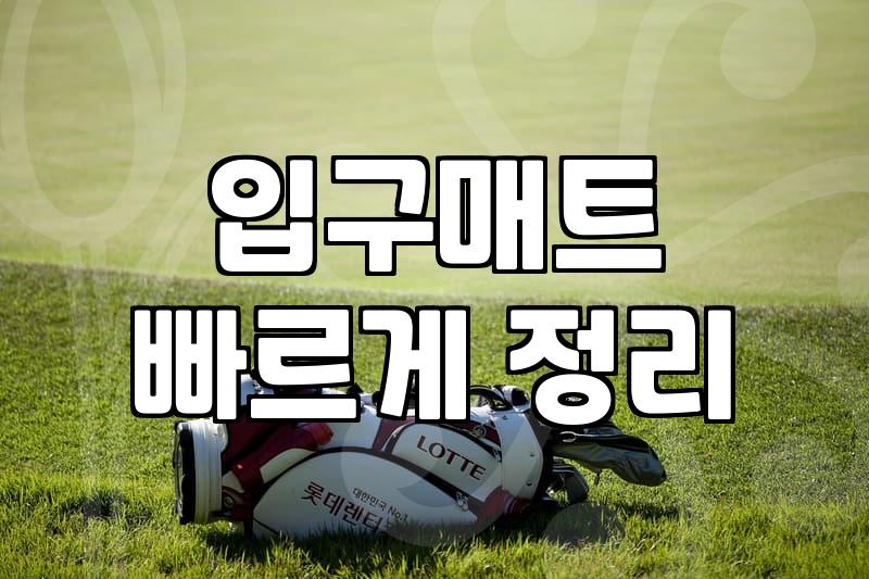 현관과 업소 입구에 맞는 바닥 매트 종류와 먼지 털이개 선택 시 놓치기 쉬운 점들