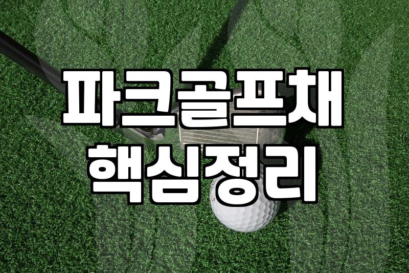 파크골프채, 비싼 게 정말 정답일까? 30대 입장에서 본 솔직한 고찰