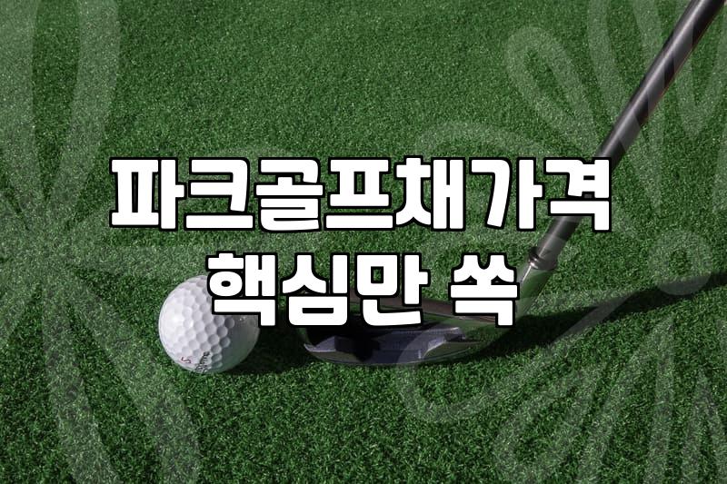 여자 파크골프채, 이것저것 따져보다 결국엔 ‘이것’ 샀습니다