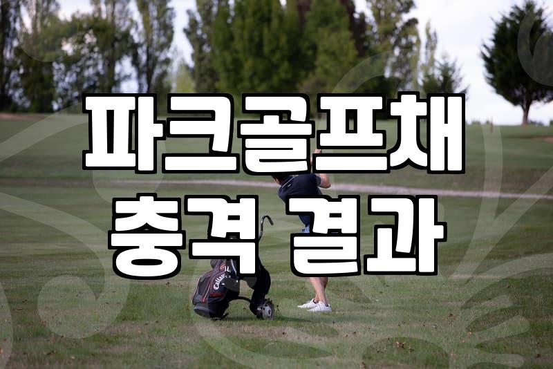 중고 아이언 세트를 사러 갔다가 엉뚱한 것만 잔뜩 들고 왔다