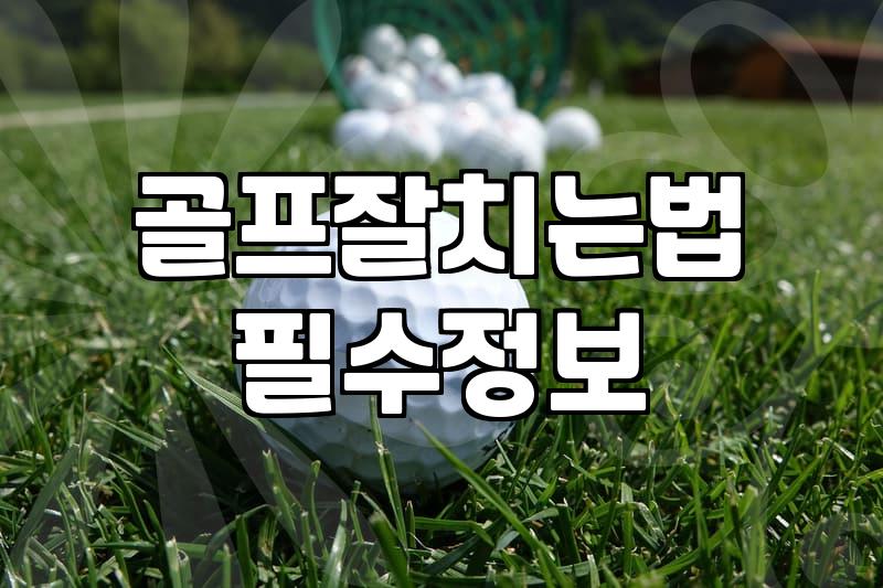 골프연습용품 활용법과 효율적인 실력 향상을 위한 선택 기준