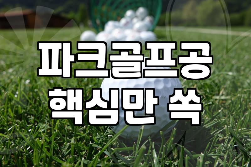 파크골프티 종류별 높이와 규정 및 올바른 사용법