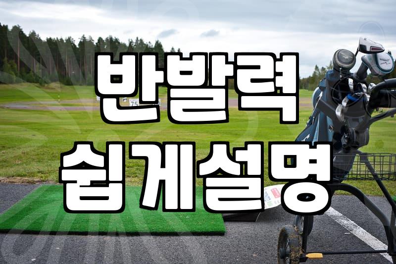 실패 없는 파크골프공추천과 나에게 맞는 제품 고르는 현실적인 방법