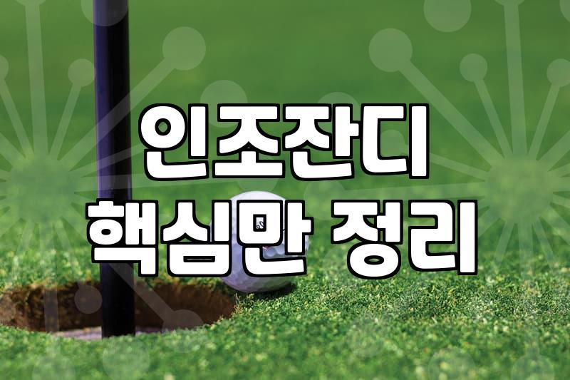 풋살장사업 시작 전 반드시 따져봐야 할 수익 구조와 현실적 제약