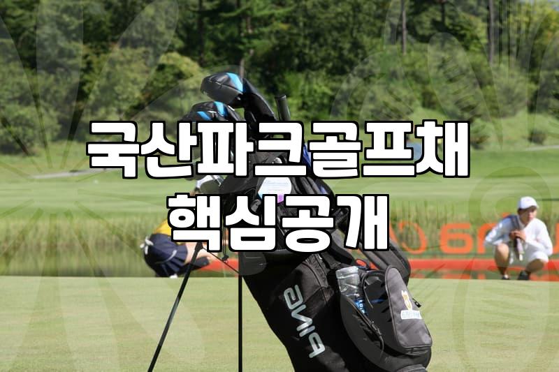 파크골프채 때문에 괜히 고민만 길어지네