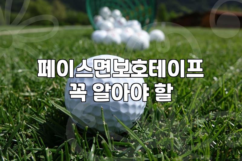 파크골프 입문자가 알아야 할 채 선택과 실전 타격의 핵심