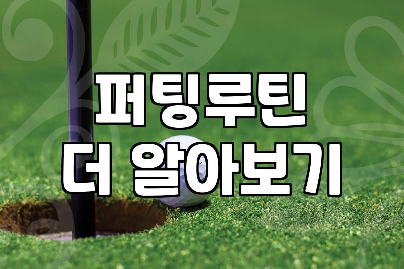 파크골프 홀컵 공략을 위해 반드시 알아야 할 거리와 지형의 상관관계